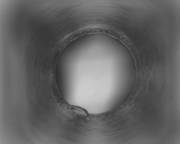 X0000068270821200604210938