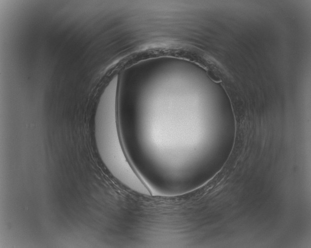 X0000068270822200604210938