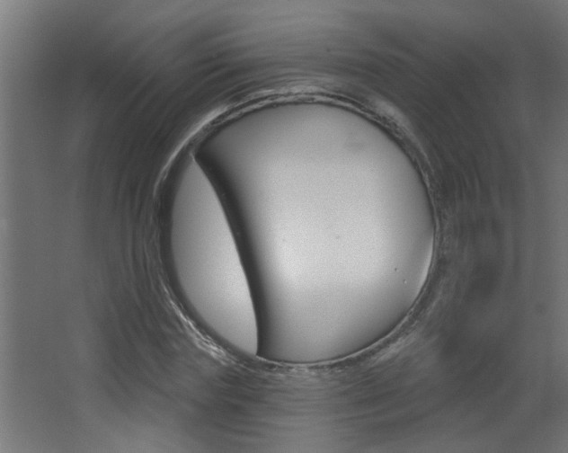 X0000068270827200604210938