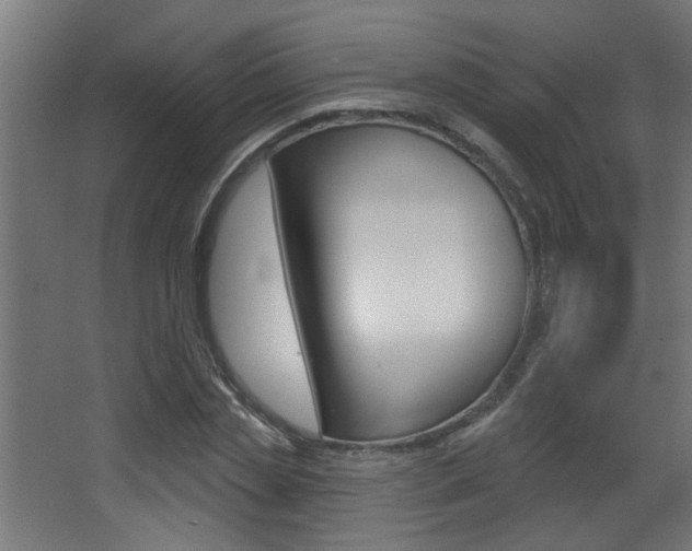 X0000068270829200604210938