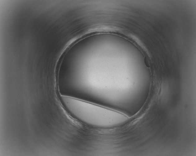 X0000068270837200604210938