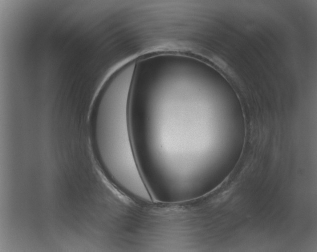 X0000068270838200604210938