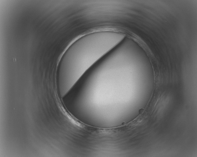 X0000068270852200604210938