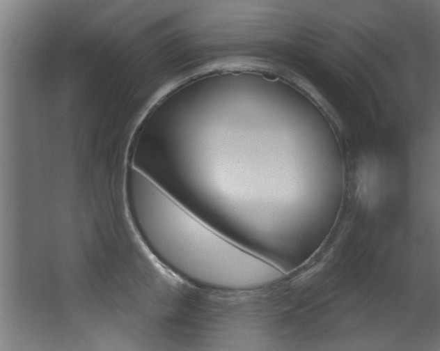 X0000068270853200604210938