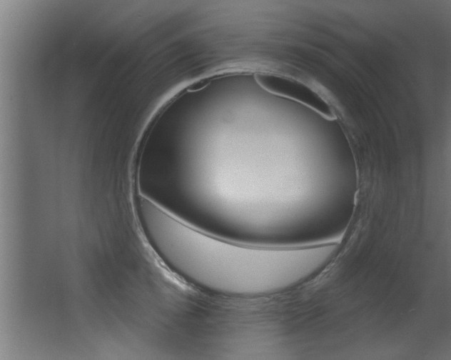 X0000068270854200604210938
