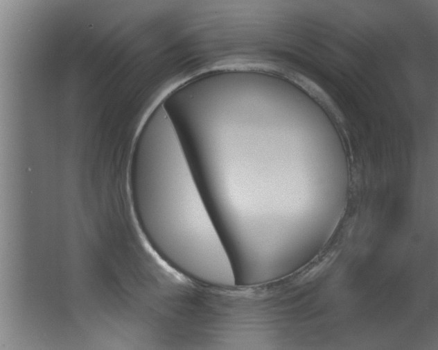 X0000068270855200604210938