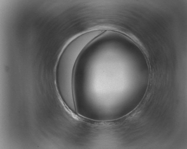 X0000068270862200604210938