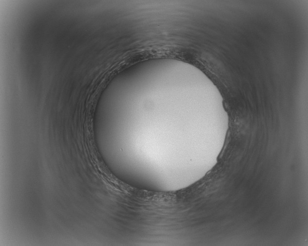 X0000068270865200604210938