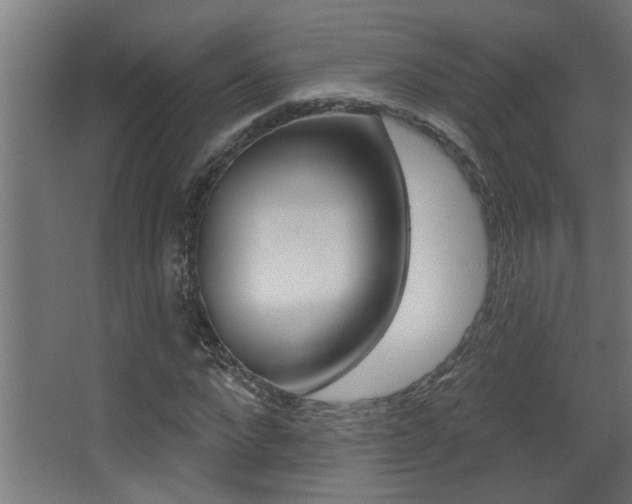 X0000068270872200604210938
