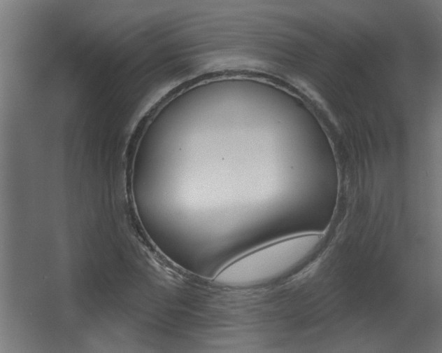 X0000068270877200604210937