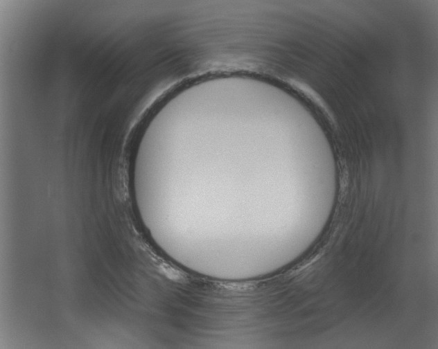 X0000068270878200604210937