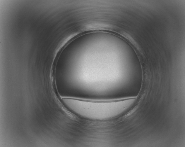 X0000068270885200604210937