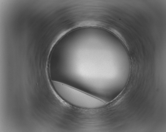 X0000068270901200604210937