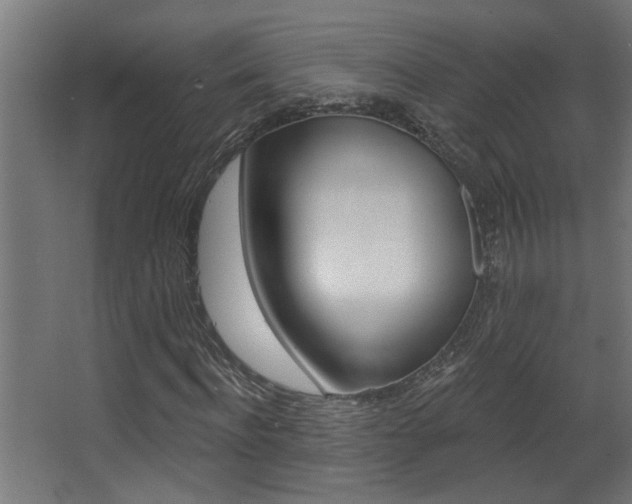 X0000068270916200604210936