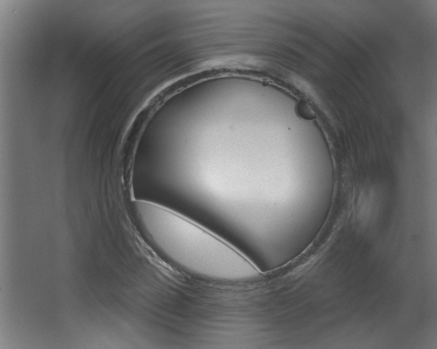 X0000068270923200604210936