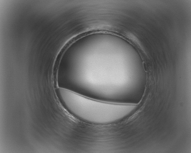 X0000068270924200604210936