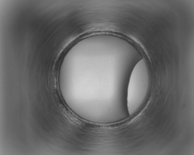 X0000068270925200604210936