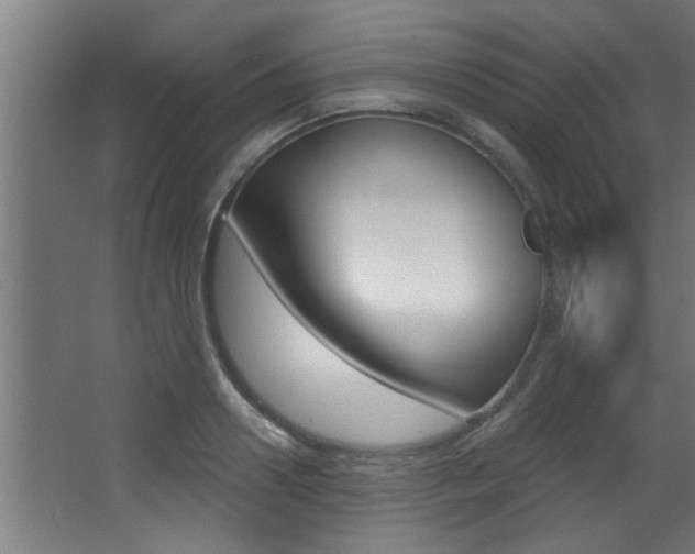 X0000068270938200604210936