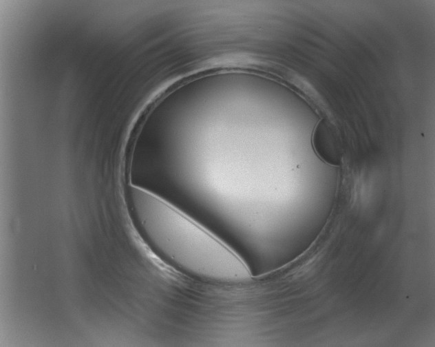 X0000068270939200604210936