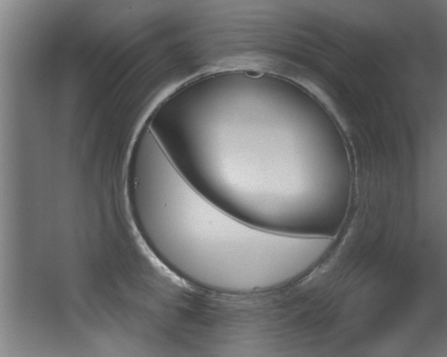 X0000068270949200604210937