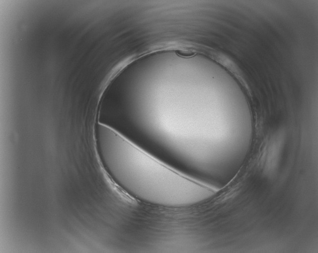 X0000068270954200604210937