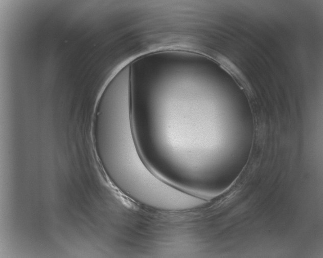 X0000068270956200604210937