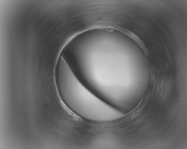 X0000068270958200604210937