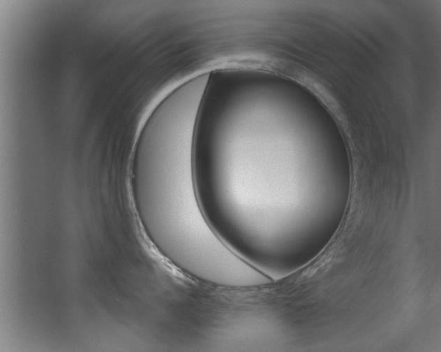 X0000068270960200604210937