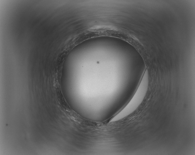 X0000068270965200604210936