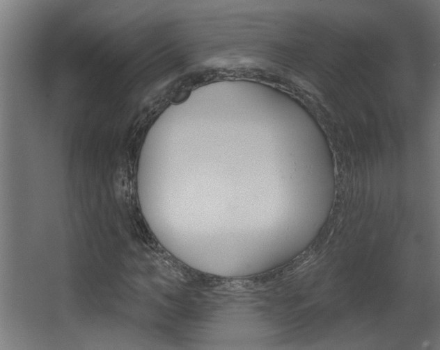 X0000068270966200604210936