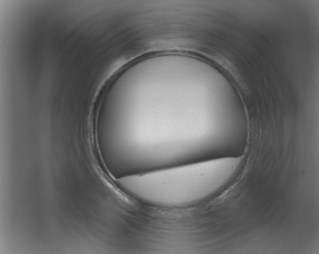 X0000068270982200604210936