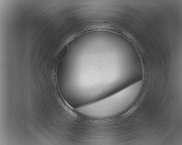 X0000068270985200604210936