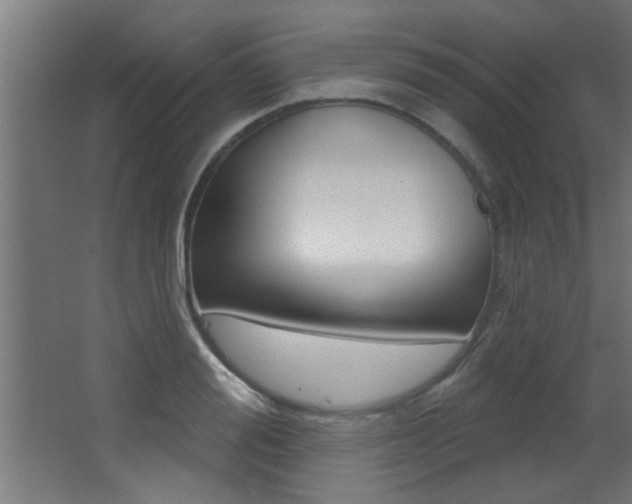 X0000068270988200604210936