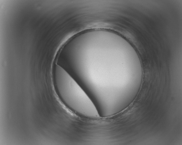 X0000068270990200604210936
