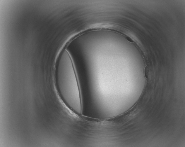 X0000068270992200604210935