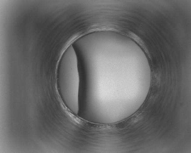 X0000068271002200604210935