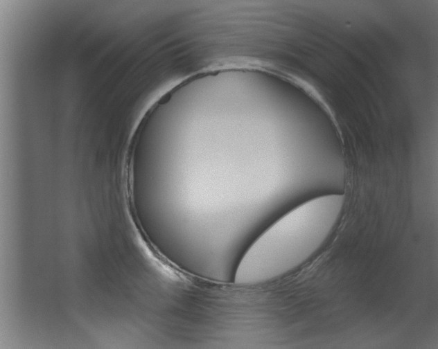 X0000068271003200604210935