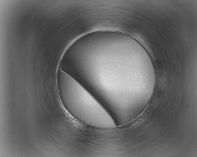 X0000068271004200604210935