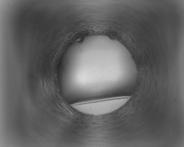 X0000068271009200604210934