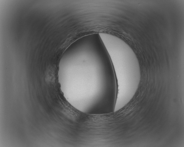 X0000068271012200604210934