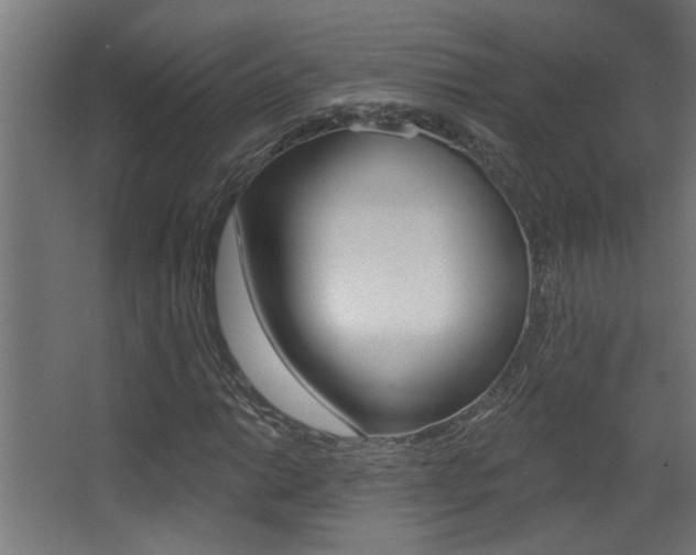 X0000068271014200604210934