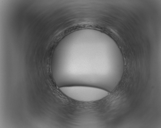 X0000068271015200604210935