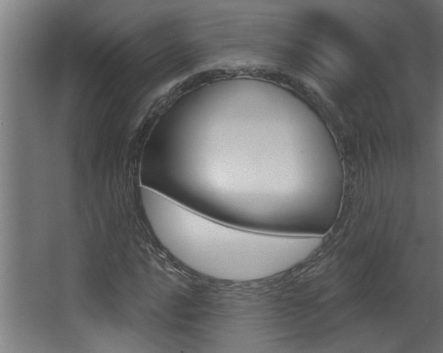 X0000068271016200604210935