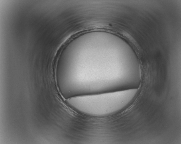 X0000068271023200604210935