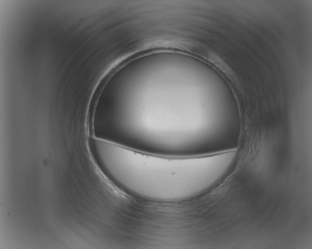 X0000068271028200604210935