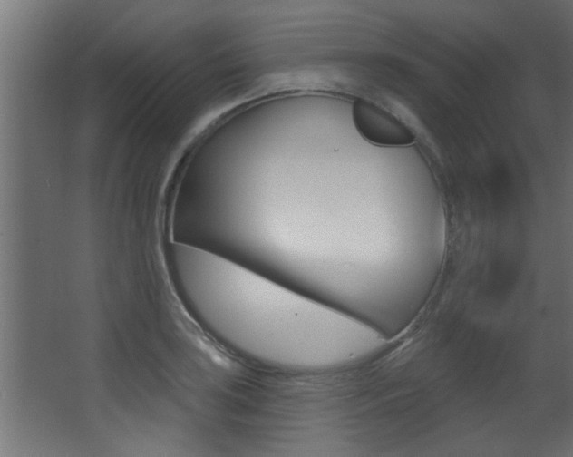 X0000068271035200604210935