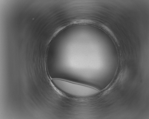 X0000068271041200604210935