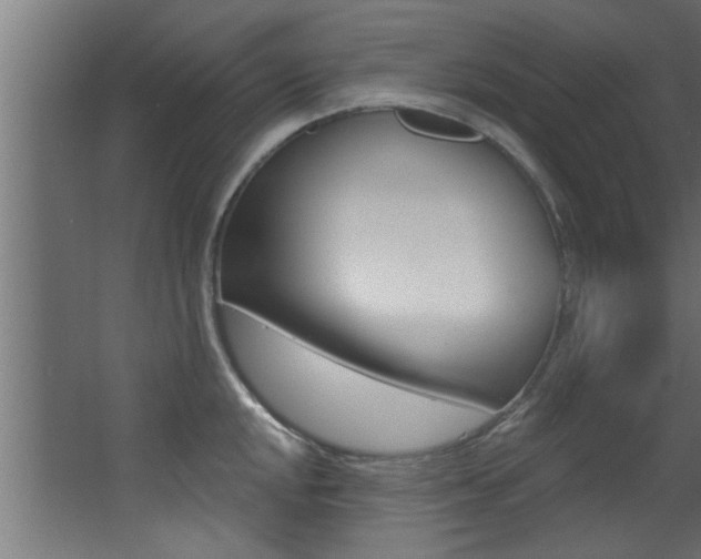 X0000068271048200604210935