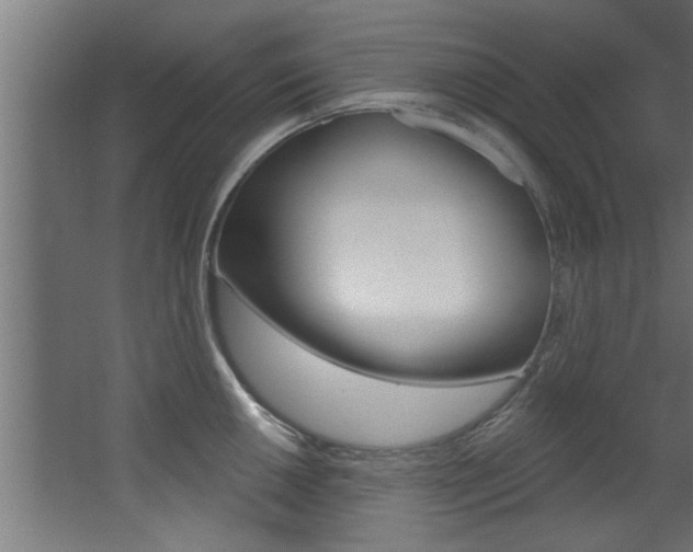 X0000068271050200604210935