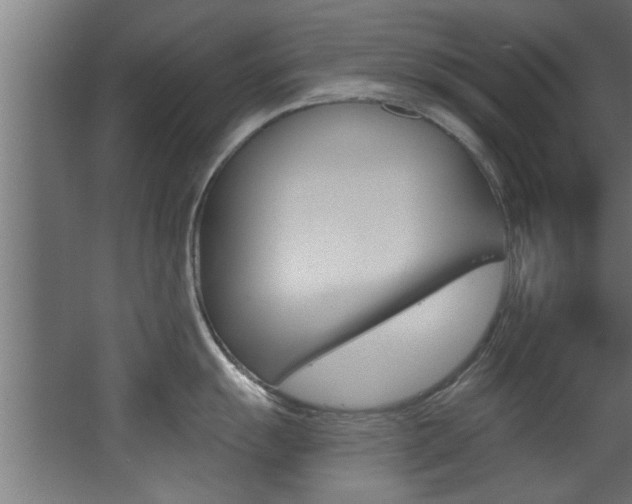 X0000068271055200604210935